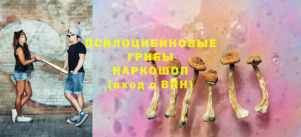 прущий лед Сосновка