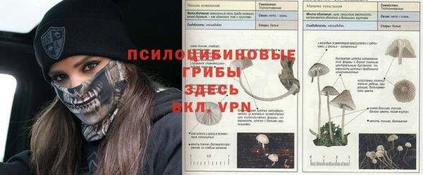 MDMA Переславль-Залесский